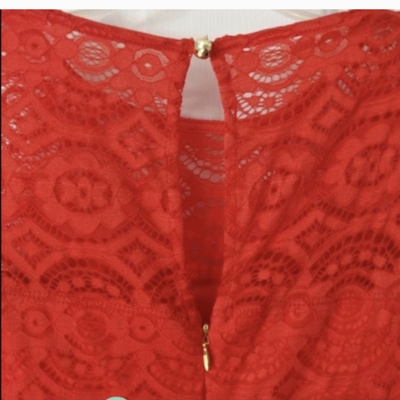 Lace dress, medium, by Thalia Sodi, red, Dressy, Formal Holiday Party Dress - Picture 6 of 9
